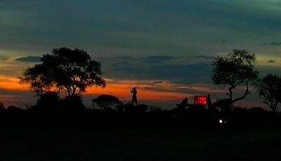 Diaries - Shot in the Dark